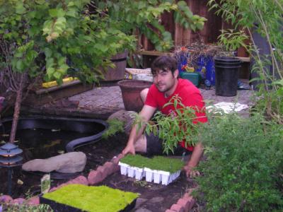 Here I am with the moss, Scotch, and mini mint varieties.